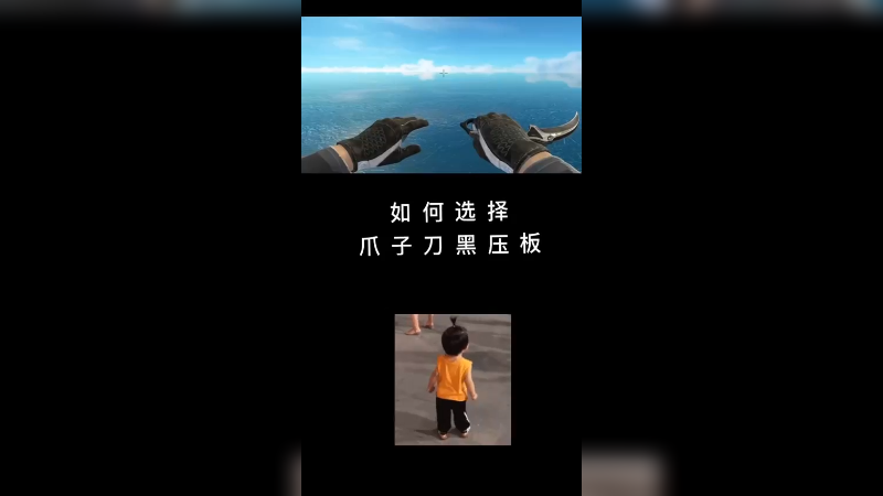 【csgo皮肤讲解】爪子刀黑色层压板选择方法