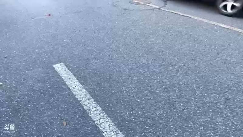 【2022-06-25 19点场】别问问就黑皮：【小奶团】黑皮~