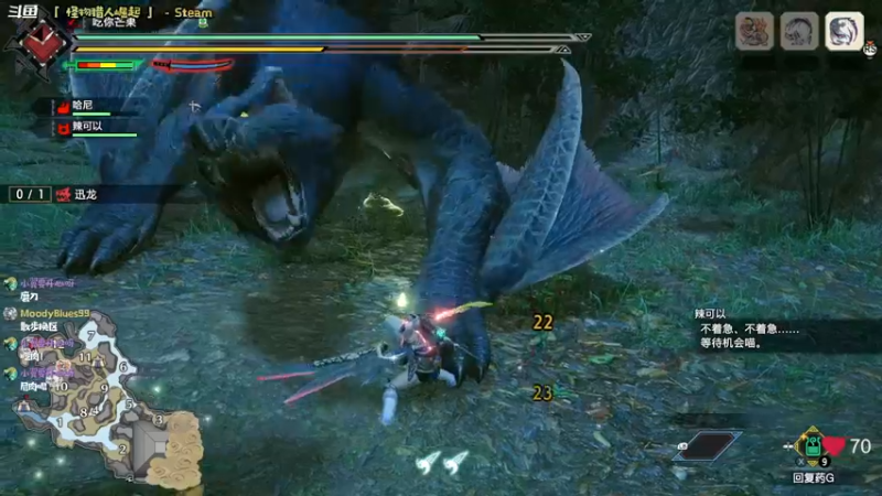 【2022-06-25 13点场】哈尼她姐：「怪猎崛起」从零开始的PC开荒