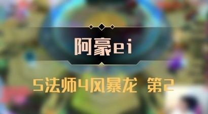 【阿豪ei】5法师4风暴龙 第2