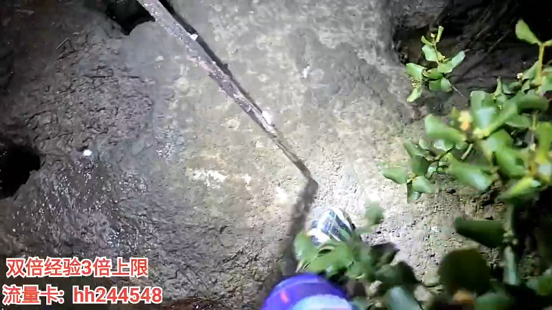 【户外】叶子户外的精彩时刻 20220628 23点场