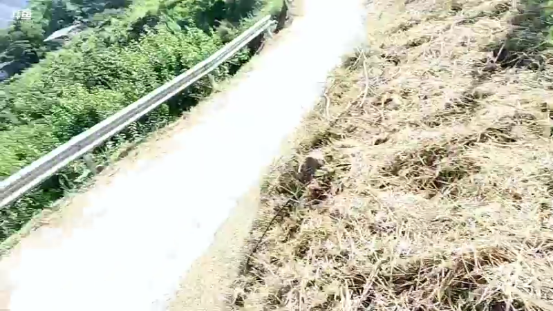 【2022-06-28 08点场】黑哥户外：农村生活之汶川