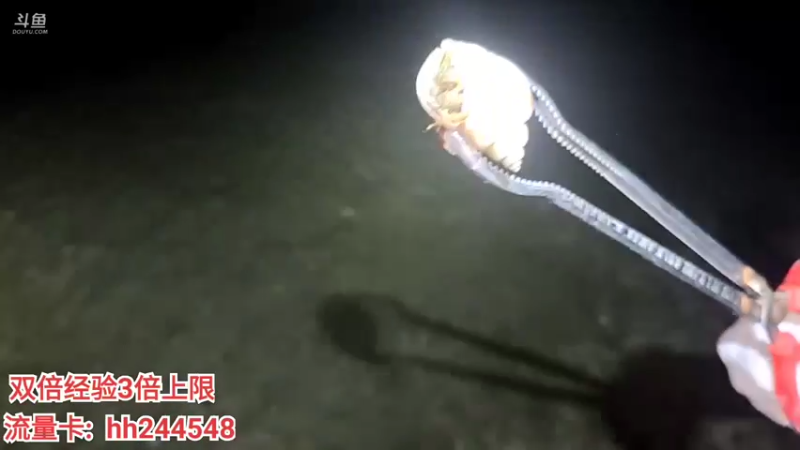 【2022-06-26 00点场】叶子户外：广东湛江硇洲岛