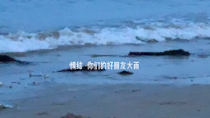 情结-翻唱：叁