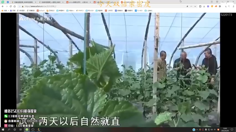 【2022-06-28 12点场】恶霸提莫：新打法提莫无敌了！！！