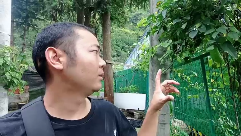 【2022-06-29 19点场】黑哥户外：农村生活之石棉
