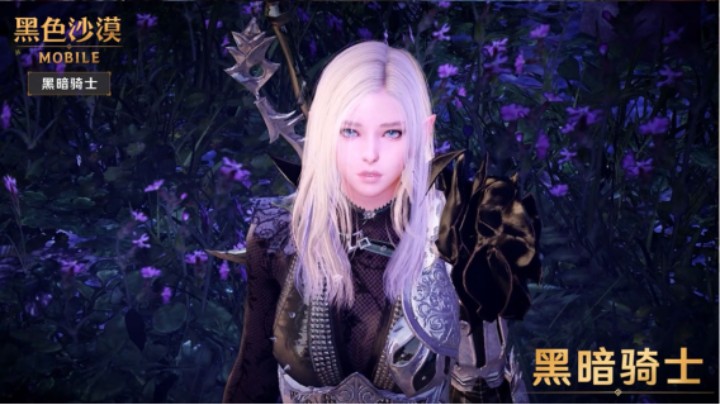 黑色沙漠手游：卡尔佩恩北部直辖领冒险知识猫勒奈