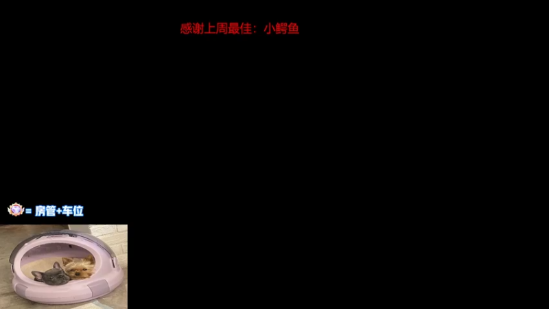 【2022-06-28 22点场】瓦罗兰特啊杰：【啊杰】：双倍亲密度！！！