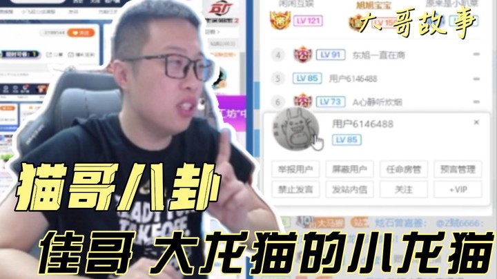 【大龙猫】猫哥八卦-佳哥 大龙猫的小龙猫