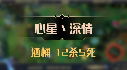 【心星丶深情】酒桶 12杀5死