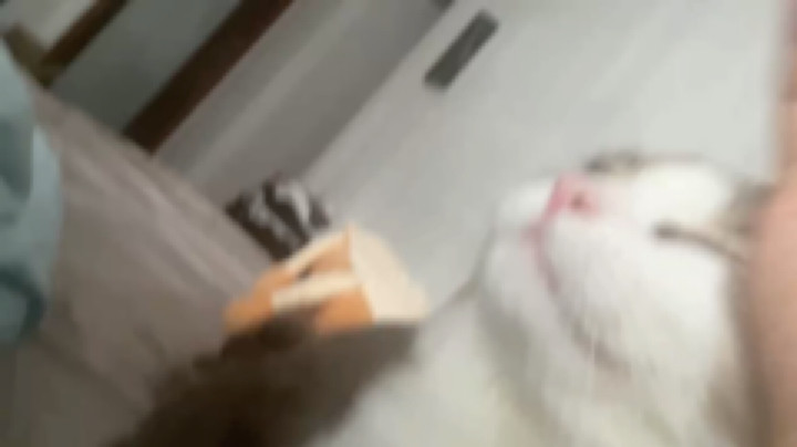 [弱鸡要抱抱][弱鸡要抱抱]