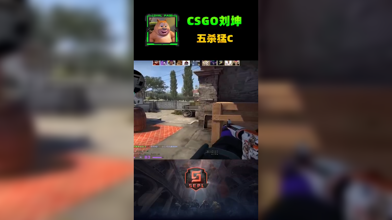 黑熊说话 csgo c
