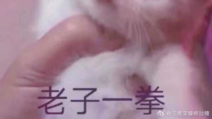 2333