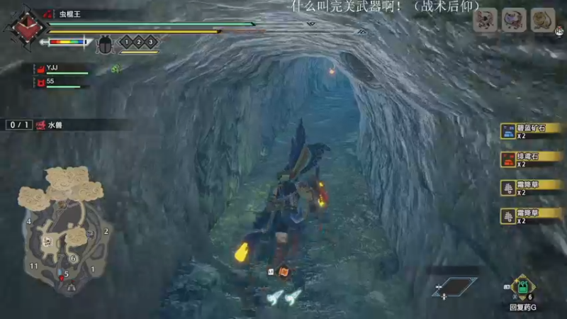 【2022-06-30 22点场】安神豆腐渣：什么叫完美武器啊？虫棍王