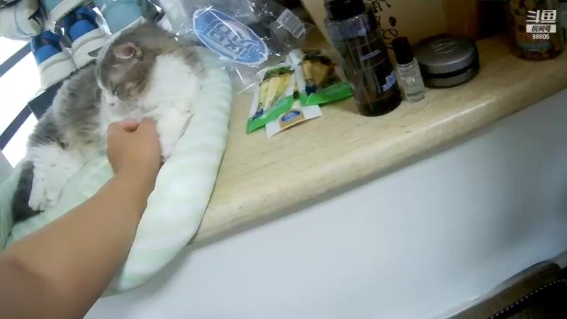 【2022-07-01 16点场】DYG萧玦：国十一驾到通通闪开