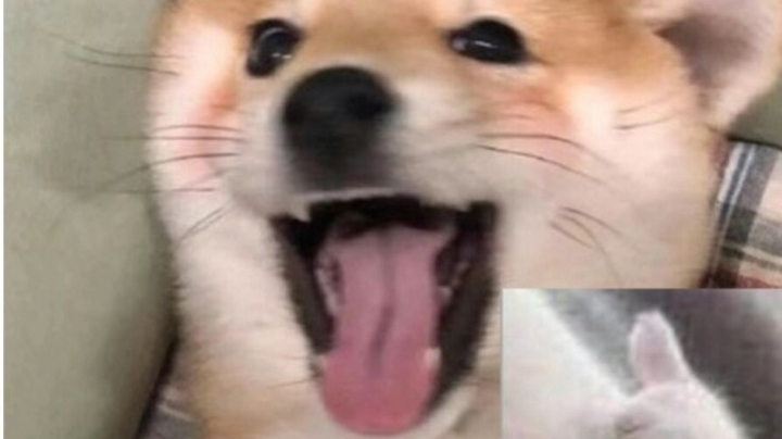 701航海王3