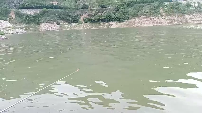 【2022-07-02 19点场】黑哥户外：农村平淡生活之有大货吗