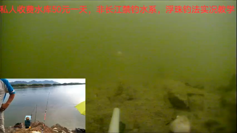 【2022-07-02 17点场】中华户外钓鱼：水库夜钓草鱼