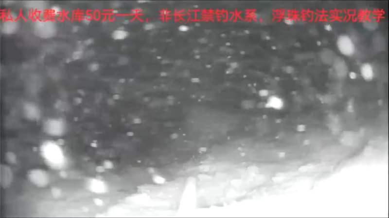 【2022-07-02 15点场】中华户外钓鱼：水库夜钓草鱼