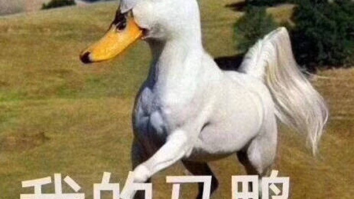 27凋魂