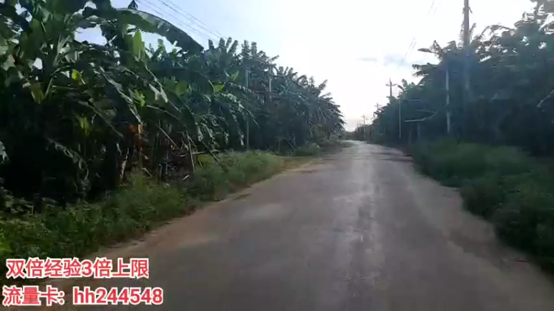 【2022-06-28 17点场】叶子户外：广东湛江硇洲岛day5