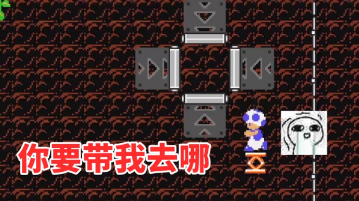 【白胖打工记】265 期 - 闸总终将被人闸《马里奥制造2》