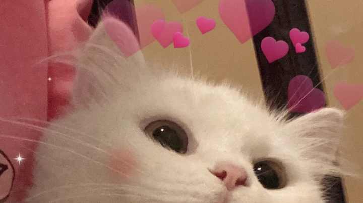 失踪人口回归啦~