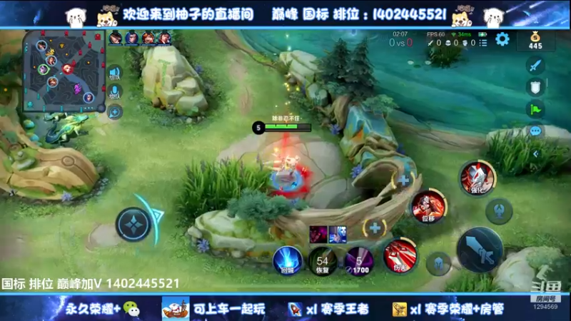 【2022-07-03 02点场】毕竟是柚子：微信带粉上荣耀~