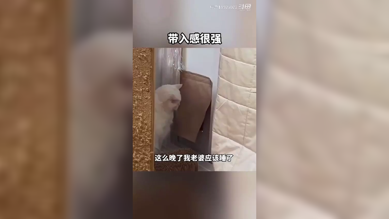 有没有怕老婆的，对号入座啊。