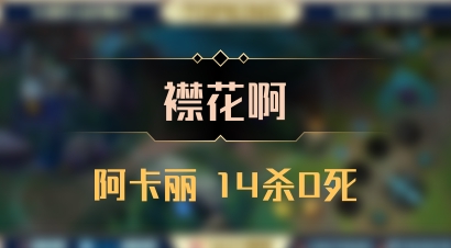 【襟花啊】阿卡丽 14杀0死