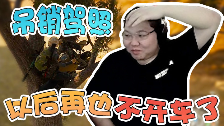 完了驾照被吊销了，以后再也不能展示我的车技了！