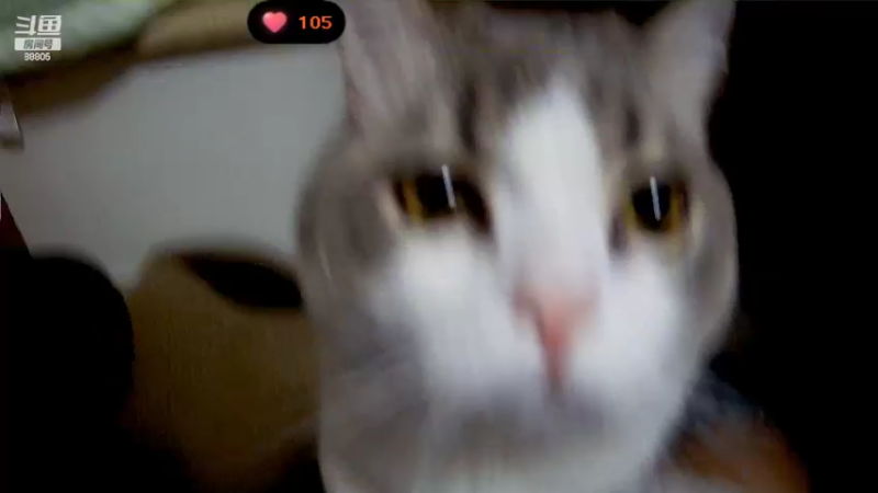 【2022-07-05 20点场】DYG萧玦：巅峰赛1967冲第一