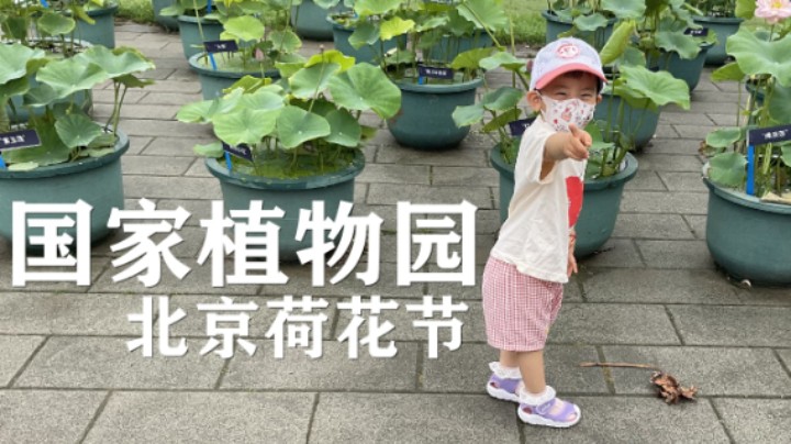 游览vlog国家植物园 赏荷花戏露水