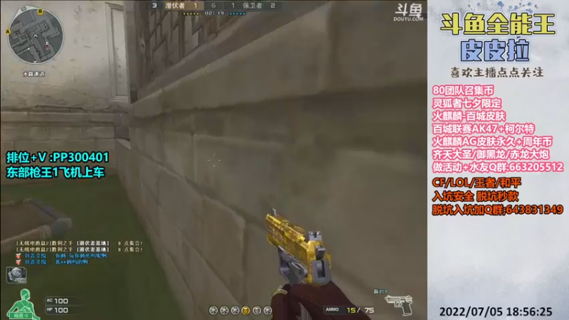 【2022-07-05 18点场】皮皮拉3004O1：皮皮拉:AG皮肤,百城皮肤,七夕灵狐者