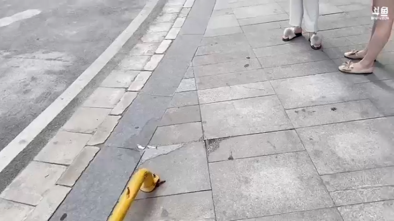 【2022-07-05 18点场】阿二Ayer：黄金三倍：不死终会出头，加油