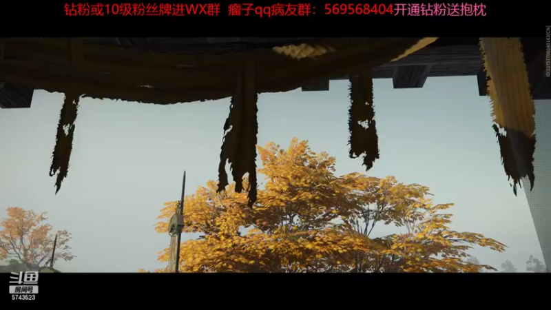 【2022-07-04 12点场】彭皮皮丶：第一天直播的新人猪啵~