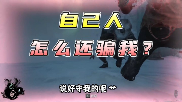 自己人怎么还骗我