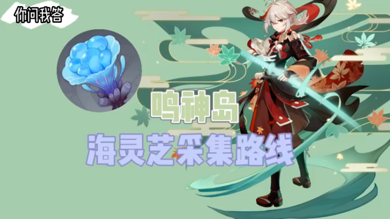 【原神】你问我答-鸣神岛海灵芝采集路线