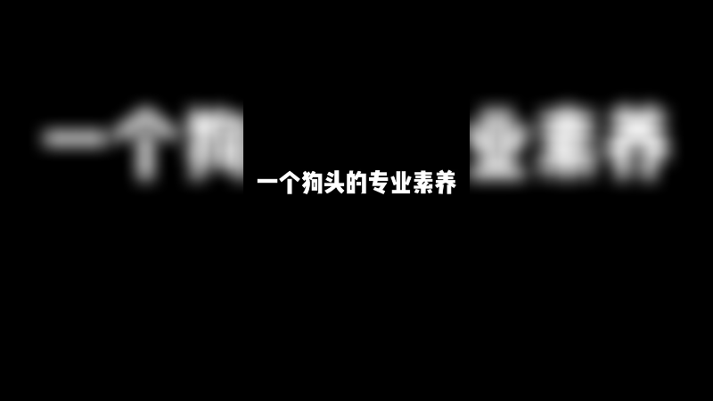 一个狗头的专业素养，就是不要省闪