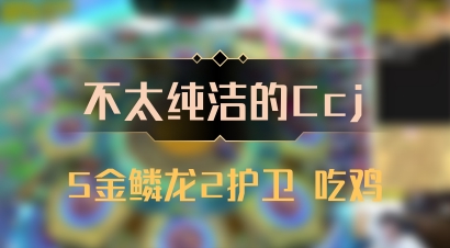 【不太纯洁的Ccj】5金鳞龙2护卫 吃鸡
