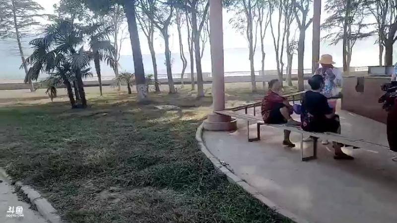 【2022-07-06 16点场】火力堂主：带大家去看小浪底排沙！