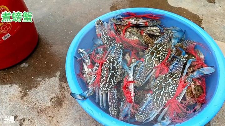 大哥出海抓了很多螃蟹，美滋滋啊