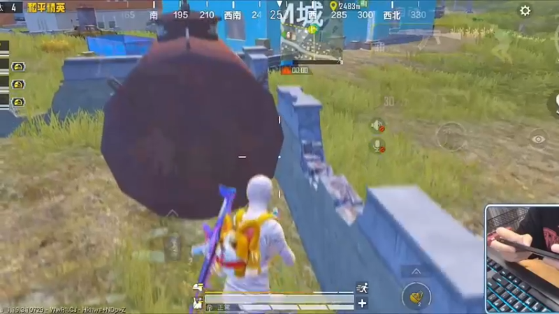 憨包竟是我自己