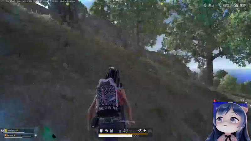 【2022-07-05 21点场】一条小团团OvO：五点开始欢乐~