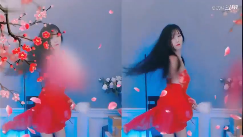 何来人间惊鸿客