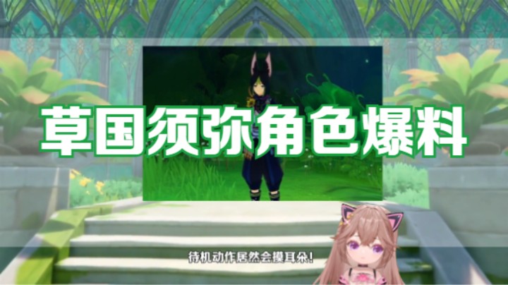 【原神】草国须弥的角色展示，听说提纳里是第一位草系角色？