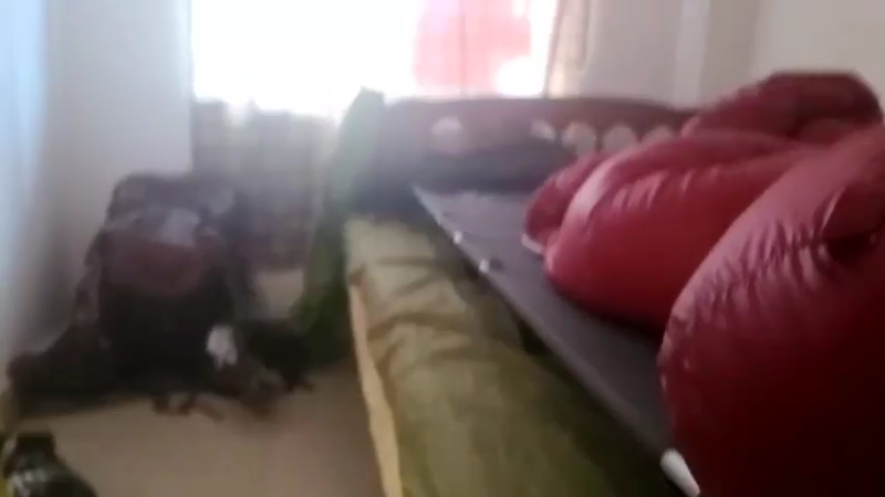 【2022-07-05 12点场】叶子户外：广东韶关，丹霞山