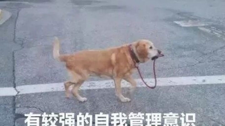 坚持就是胜利。