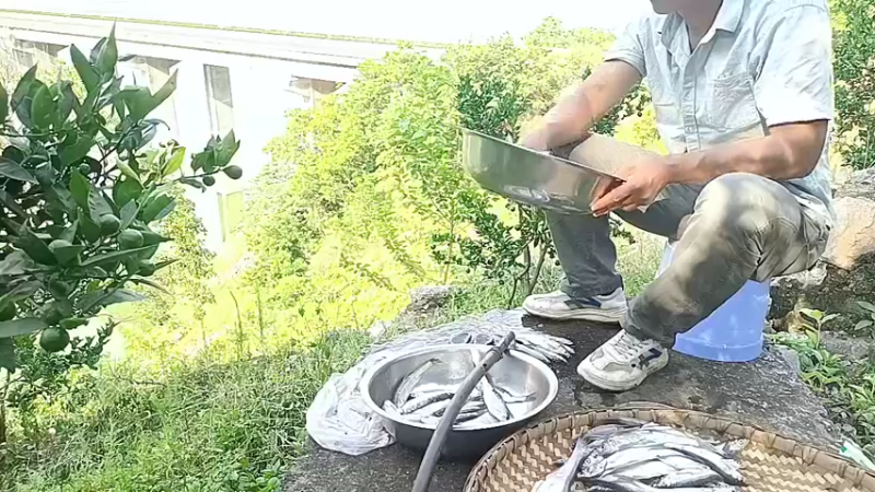 【2022-07-07 17点场】黑哥户外：农村平淡生活之留下7只小兔