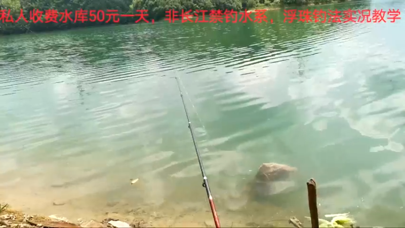 【2022-07-07 10点场】中华户外钓鱼：再战根据地